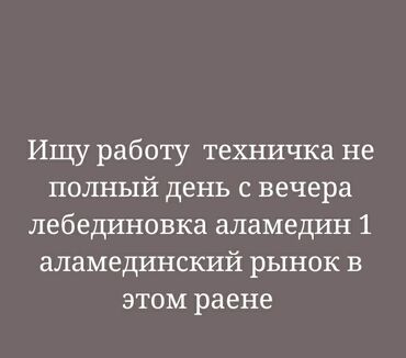 турцияга жумуш: Тазалоочу - Аял, Тажрыйбалуу