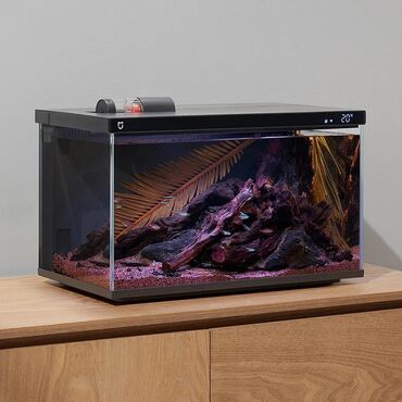 Рыбы: Умный аквариум Xiaomi: работает месяцами без обслуживания, а кормить