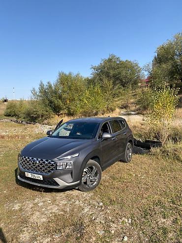 139: Hyundai Santa Fe: 2021 г., 2.2 л, Кроссовер — 6