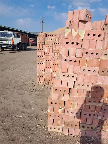 Строительный кирпич: Кирпич керамический пустотелый (перфорация 3 отверстия) - Материал — 10