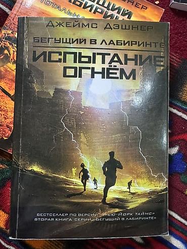 лунные хроники: Роман, На русском языке, Б/у, Самовывоз — 4