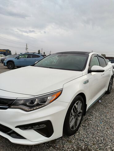 Kia: Kia Optima: 2020 г., 2 л, Вариатор, Гибрид, Седан