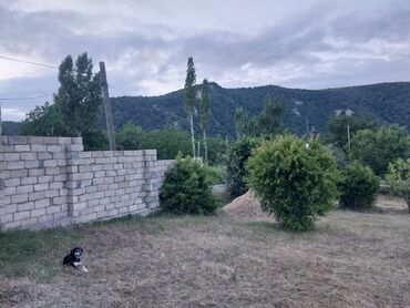 Həyət evləri və villaların satışı: 3 otaqlı, 154 kv. m, Orta təmir — 8