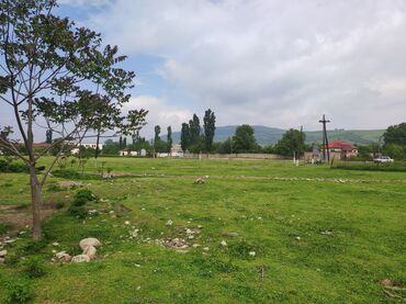 torpaq xacmaz: 10 sot, Kənd təsərrüfatı, Mülkiyyətçi, Kupça (Çıxarış)