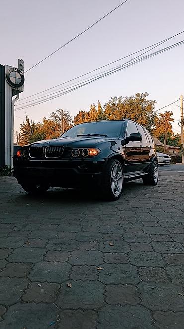 х5 м: BMW X5: 2004 г., 4.4 л, Автомат, Бензин, Внедорожник — 2