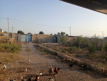 Otaqların uzunmüddətli kirayəsi: 6 sot torpağın icinde 4 otaglı heyet evi evin bir otagi remontsuzdur -da lalafo.az — 8 Otaqların uzunmüddətli kirayəsi: 6 sot torpağın icinde 4 otaglı heyet evi evin bir otagi remontsuzdur — 8