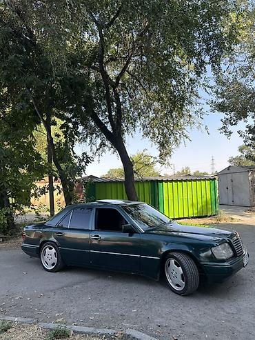 bud e9: Mercedes-Benz S-Class: 1995 г., Седан — 9