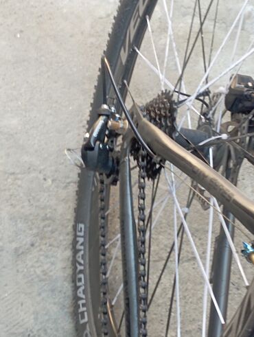 Şəhər velosipedləri: Problemi var ikidənən kask hədiyyə verilir qiymət 180 asaxi yeri — 5