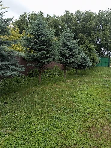 1 bedroom: Срочно Продаю дом Под бизнес(Дача) Районе Сокулук Арал Картанбаева105 — 3