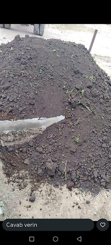 peygember gulu: Məhsul: Qara torpaq (bağ və landşaft işləri üçün)İsmayıl şamaxi — 4