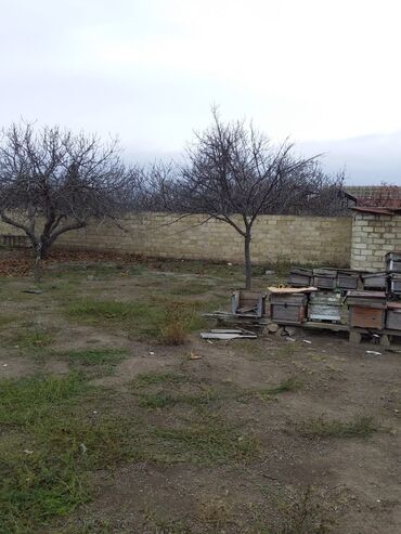 Həyət evləri və villaların satışı: 3 otaqlı, 64 kv. m, Kredit yoxdur, Təmirsiz — 5