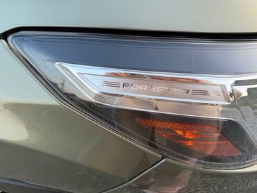 Subaru: Subaru Forester: 2019 г., 2.5 л, Вариатор, Бензин, Кроссовер — 12