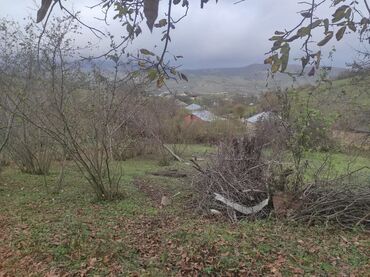 Torpaq sahələrinin satışı: 20 sot, Tikinti, Mülkiyyətçi, Kupça (Çıxarış), Texniki pasport — 19