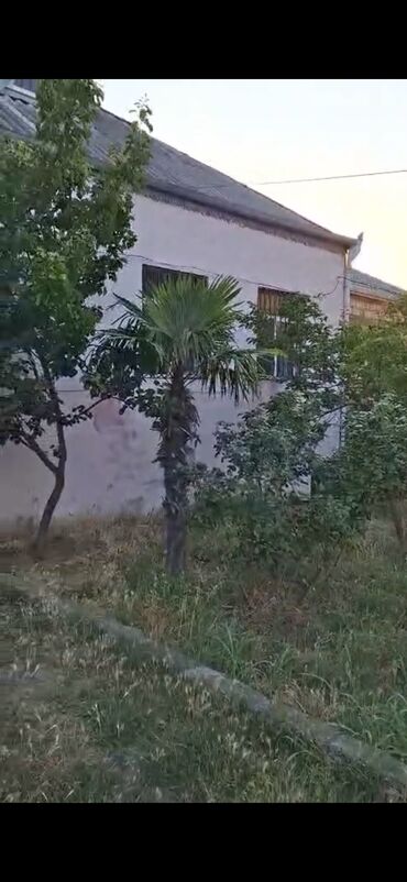 Bağ evlərinin kirayəsi: 1111 kv. m, 2 otaqlı — 16