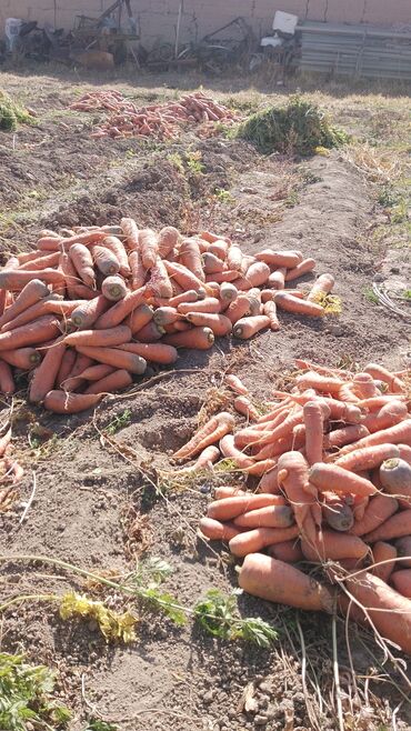 детские двухъярусные кровати фото цена: Сабиз Дүңүнөн, Өзү алып кетүү