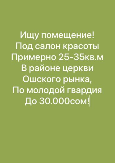 маникюрный салон: Салондогу кабинет, 30 кв. м