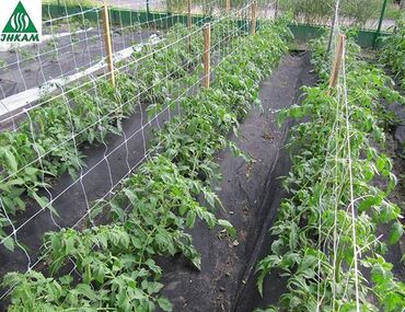 Другие товары для дома и сада: Пленка для мульчирования 30 микрон. Пленка для мульчирования 30 мкм — 15