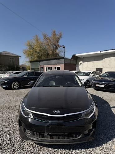 катализатор к 5: Kia K5: 2020 г., 2 л, Автомат, Гибрид, Седан — 1