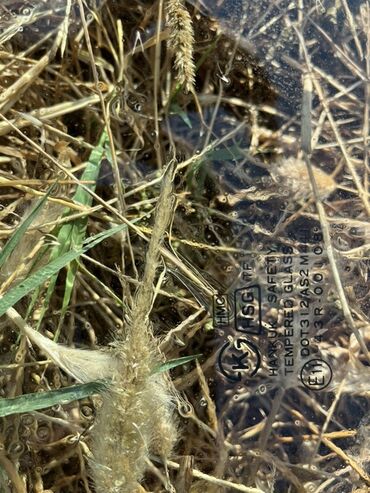 Avtomobil şüşələri: Hyundai markalı avtomobil üçün şüşə. Laminatlaşdırılmış, günəş -da lalafo.az — 6 Avtomobil şüşələri: Hyundai markalı avtomobil üçün şüşə. Laminatlaşdırılmış, günəş — 6