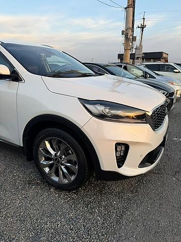 под спада боковой дверь: Kia Sorento: 2018 г., 2.2 л, Автомат, Дизель, Внедорожник — 8