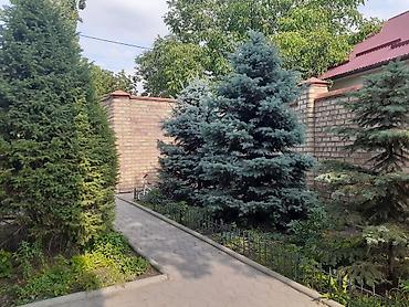 Продажа коттеджей и домов: Продается дом на первой линии по ул. Садырбаева /ул. Ахунбаева — 3