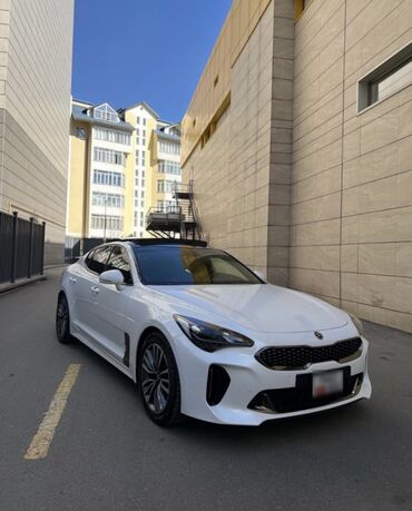 stinger: Kia : 2018 г., 2 л, Автомат, Бензин, Седан