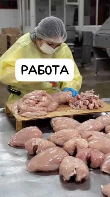 жыгач челек: Куриный цех требуется работник(20-35 лет),УМЕЮЩИЙ(или научим)