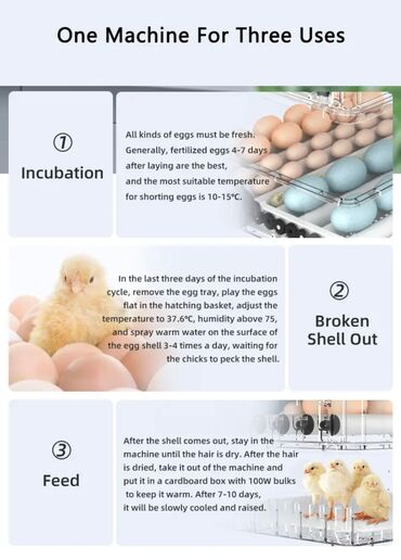 Oprema za kućne ljubimce: INKUBATOR Automatski nove generacije za 130 jaja 12v/220v — 7