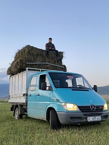Грузовик, Mercedes-Benz, Дубль, 3 т, Новый — 2