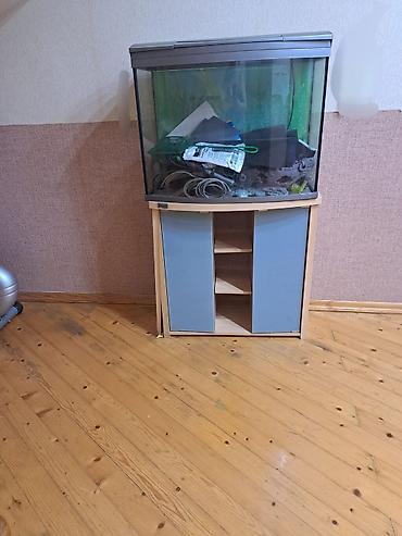 akvarium ve baliqlar: - Aksesuarlar (şəkildə görünənlər): tor (balıq tutmaq üçün) — 1