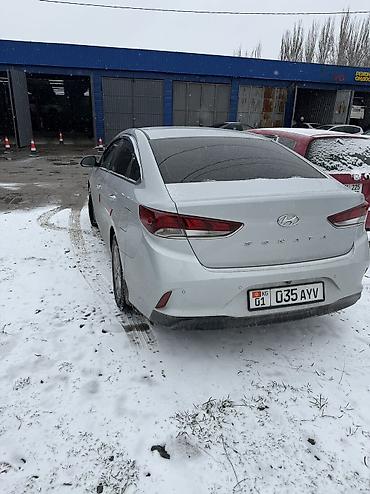 соната куплю: Hyundai Sonata: 2021 г., 2 л, Автомат, Газ, Седан — 1