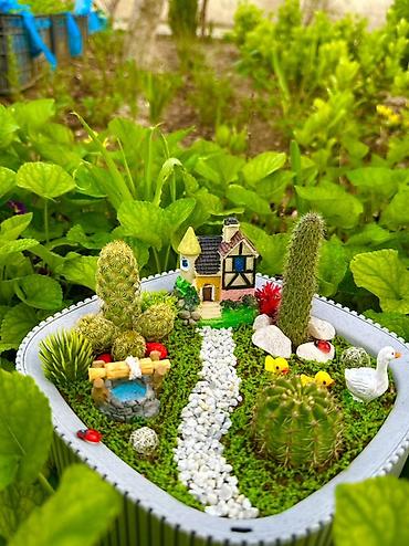 en gozel dibcek gulleri: Mini bağ kompozisiyası – sukulent/kaktus terrariumu - Üçbucağa yaxın — 3