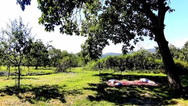 Bağ evlərinin satışı: Qəbələ, 170 kv. m, 6 otaqlı, Qaz, İşıq, Su — 14