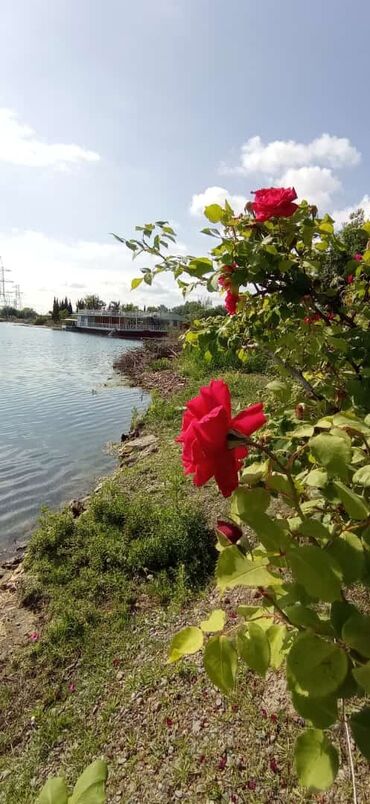 Həyət evləri və villaların satışı: 4 otaqlı, 90 kv. m, Kredit yoxdur, Yeni təmirli — 7