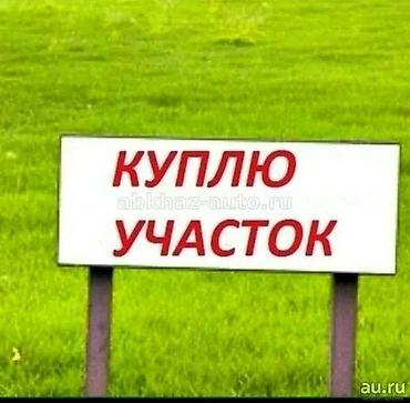 мед алимин: 1 соток — 1