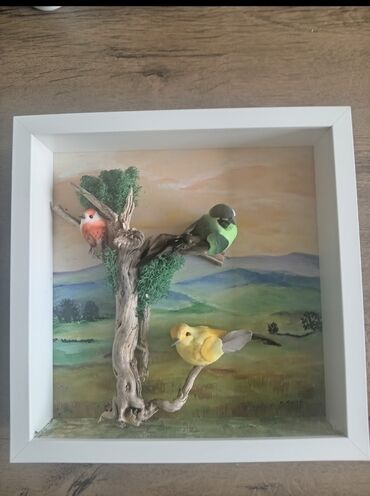 Slike i ramovi: Slika, 25 x 25 cm, Novo — 29