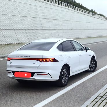 BYD: BYD Qin Plus: 1.5 l | 2024 il 78000 km Sedan — 3