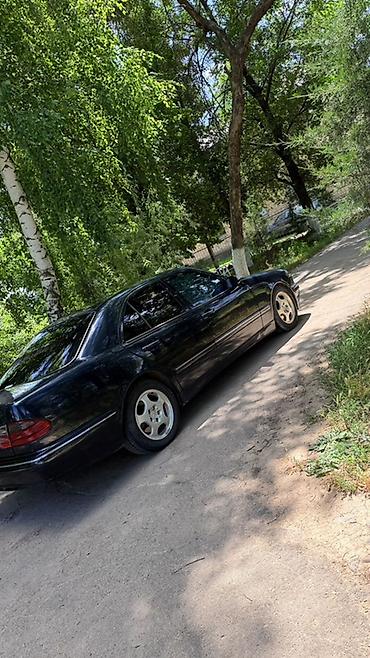 sprinter 315: Mercedes-Benz E-Class: 2001 г., Автомат, Бензин, Седан — 6