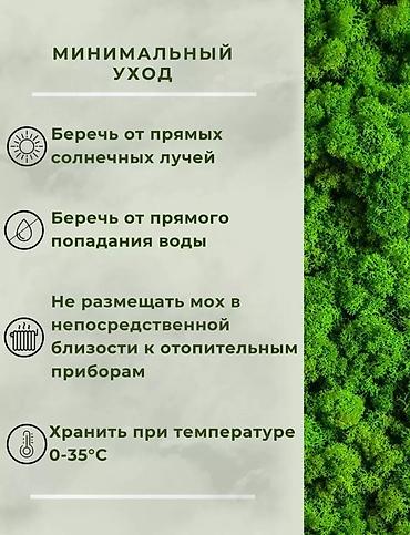 карта: Панно из стабилизированного мха Превратите ваш интерьер в — 8