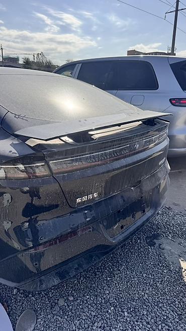 byd xia: Dongfeng : 2025 г., Робот, Электромобиль, Седан — 6