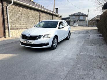 тент для грузовых авто: Skoda Octavia: 2018 г., 1.6 л, Типтроник, Бензин, Хэтчбэк