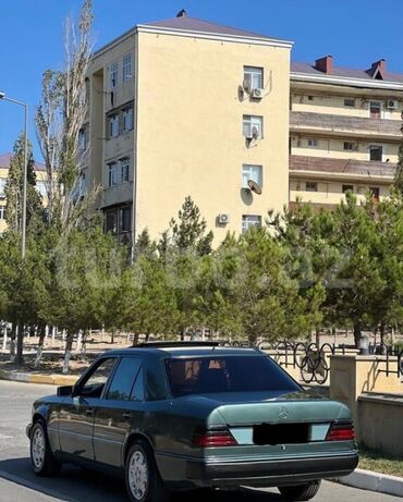 taxi surucu: Ali təhsilliyəm. 1.84. boyundayam. Ali təhsilliyəm.Mütamadi olaraq