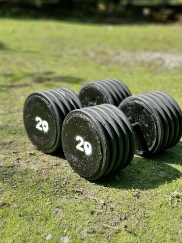 Giryalar: Girya, Yeni — 24