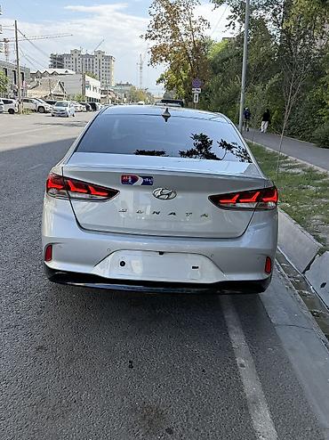 model y: Hyundai Sonata: 2020 г., 2 л, Автомат, Газ, Седан — 5