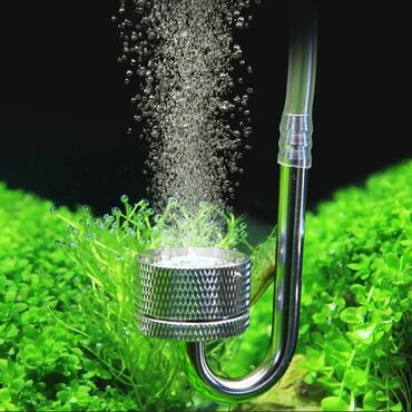 Аквариумы: CO2 Generato с присоской для аквариума, пузырьковый распылитель — 12