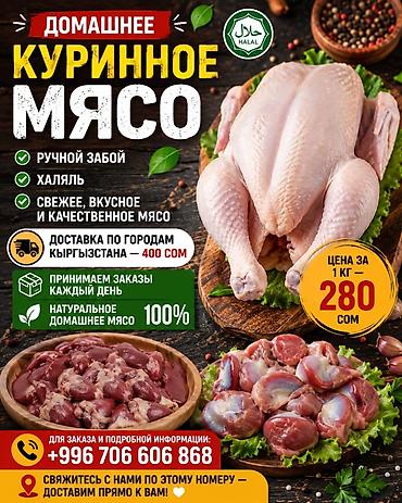 куплю куры: Тоок эти 
мясо броллер 
250 кг Домашний — 8