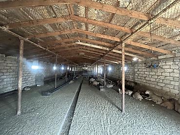 Kommersiya daşınmaz əmlakının satışı: Ferma/Sağmal təsərrüfatı sahəsi - Geniş həyətyanı ərazi və açıq sahə — 23