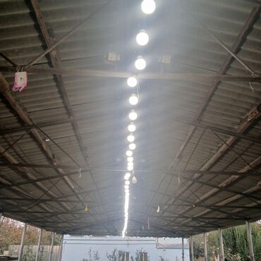 guess tekstil mmc: LED işıqlandırma xətti – açıq səhnə, zal, anbar, həyət və tədbir