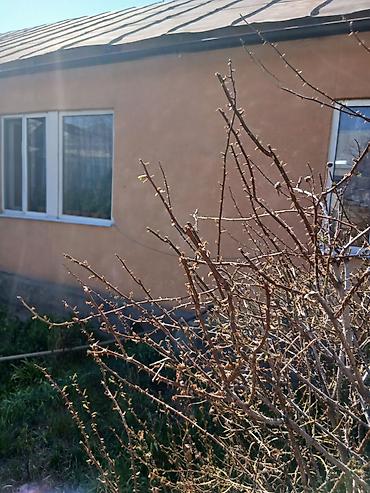 Продажа полдома: Продам пол дома,в доме на два хозяина. Отдельный двор. Площадь 92кв.м — 1