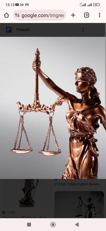 Юридические услуги | Административное право, Гражданское право, Земельное право | Консультация